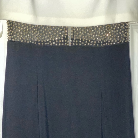 Cache Evening Dress - Picture 4 of 9